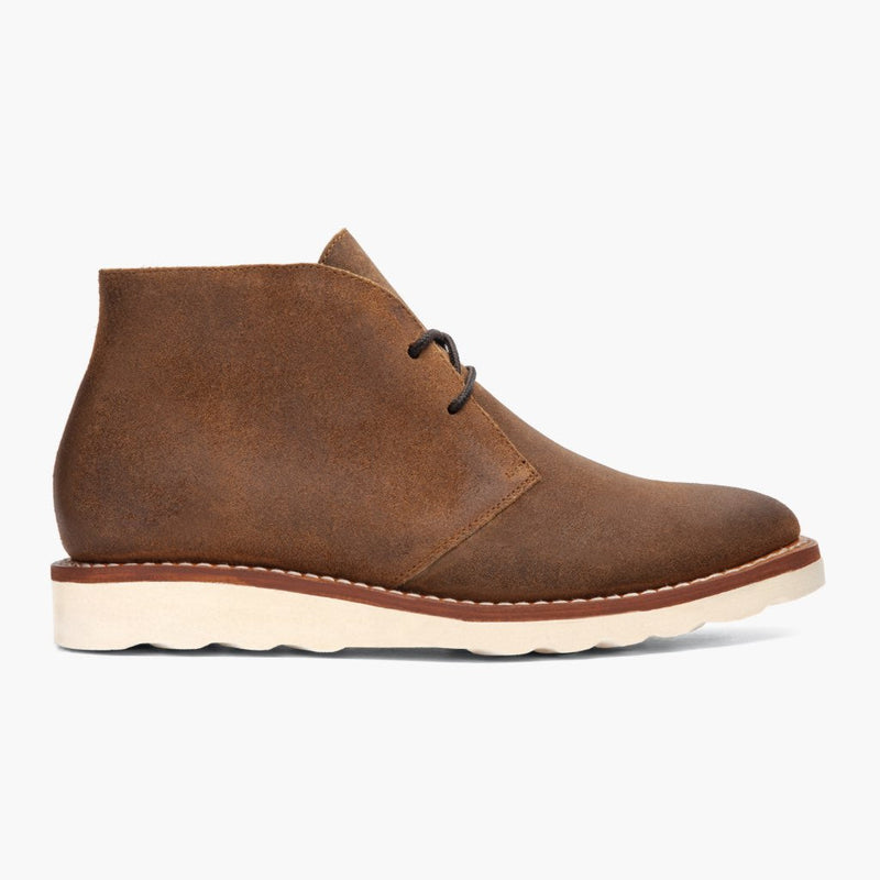 [S] Scout | Safari